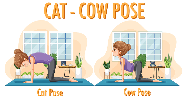 cat cow stretch marjaryasana bitilasana